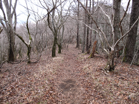 20181205hike (221)